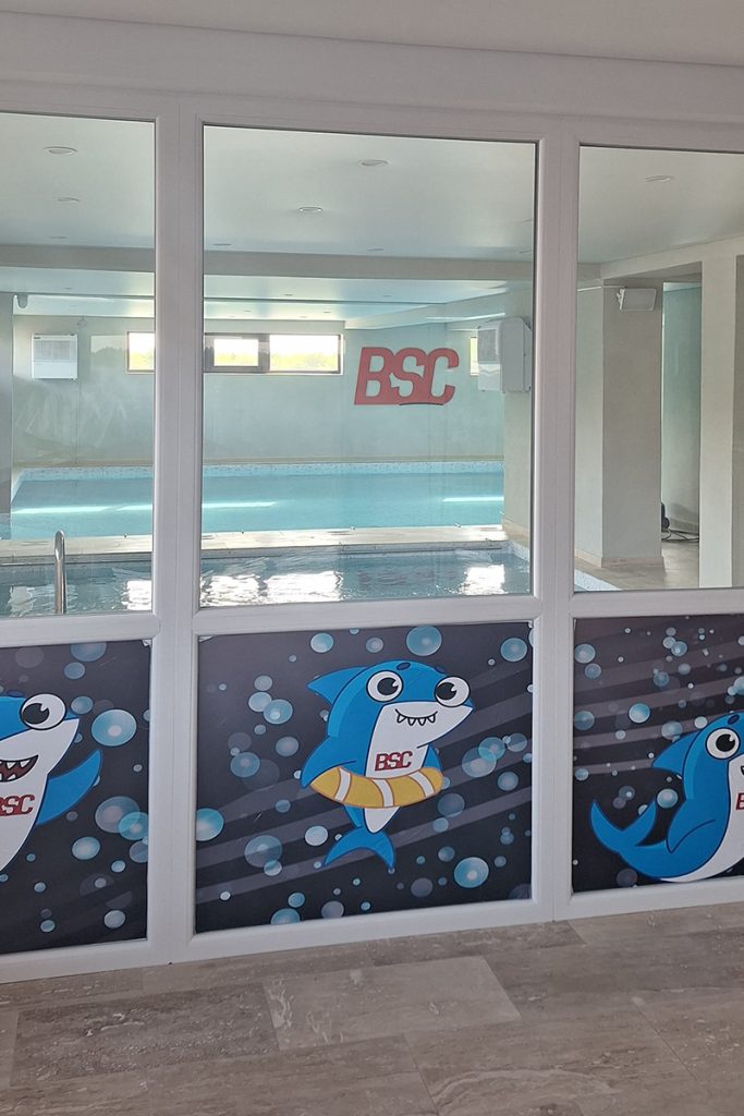 bsc ghencea inot galerie